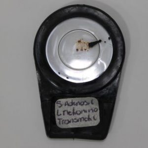 L-METIONINA 7CH FILT