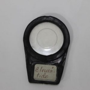 CLEMATIDE FILTRO