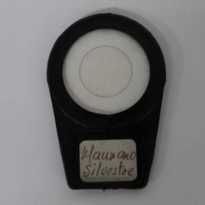 MANZANO SILVESTRE FILTRO