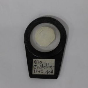 BIG ENDOTHELINE 1CH FILTROS