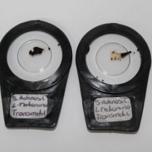 GASTRIN GASTRINA RELEASING PEPTIDE FILTRO